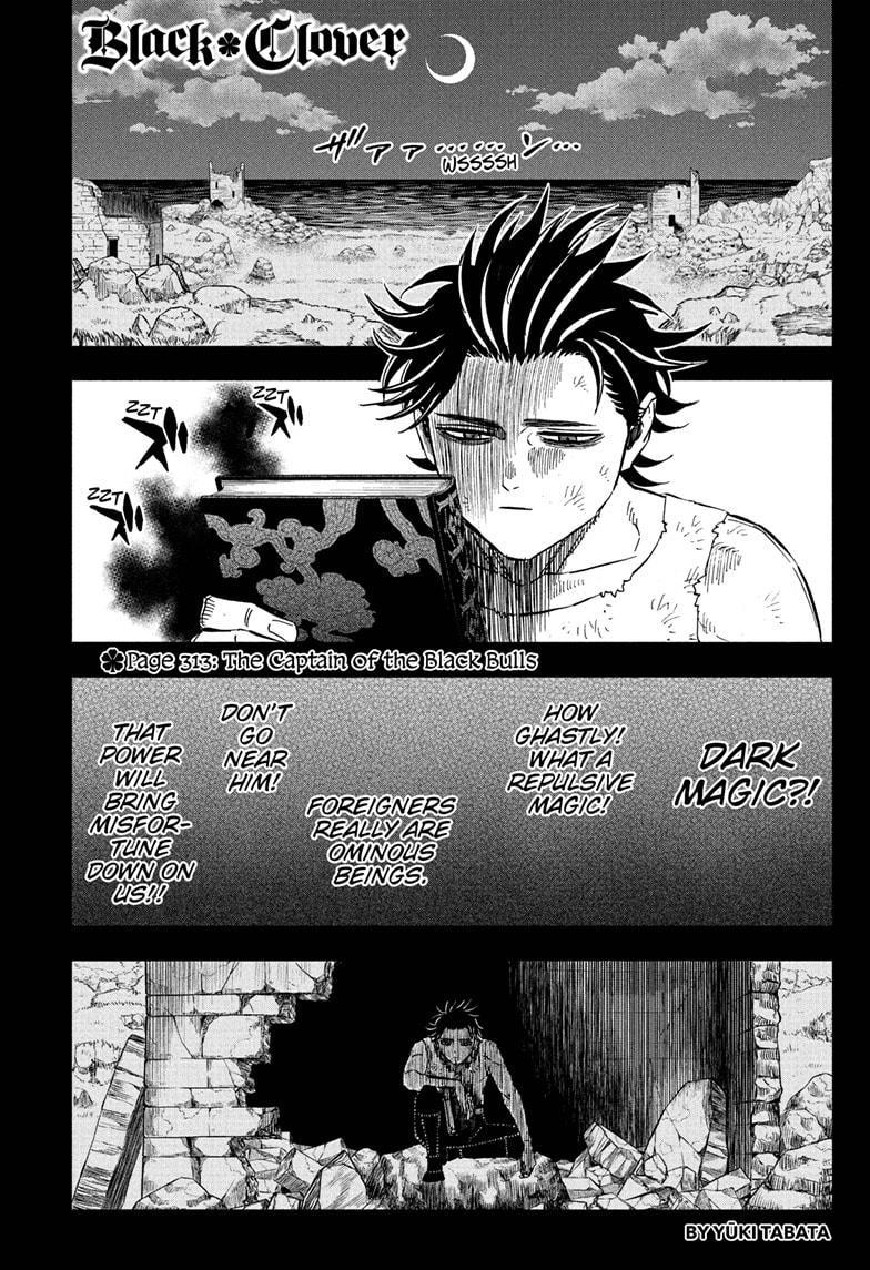 chapter313